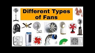 Types of Fans