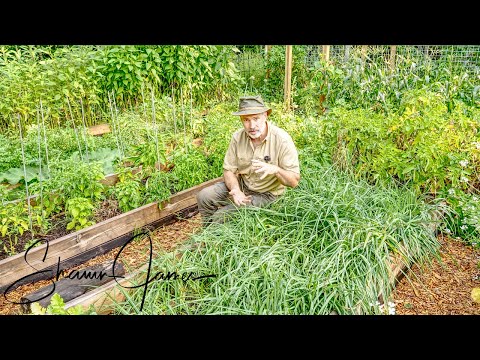 Full Off Grid Vegetable Garden Tour in Zone 4