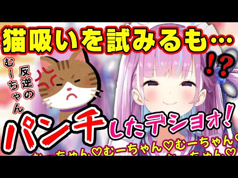 【湊あくあ】驚愕！愛猫むーちゃんを可愛がり過ぎて猫パンチを喰らうあくたん【ホロライブ/切り抜き】