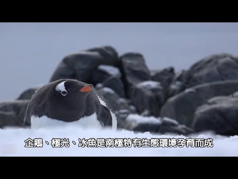 漁季嚴選-冰魚環境介紹