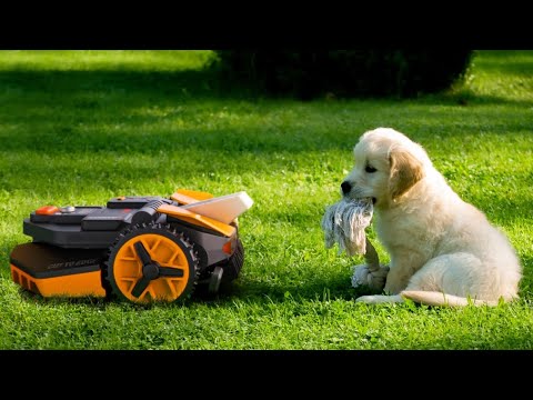 Worx Landroid Smart Robot Mower