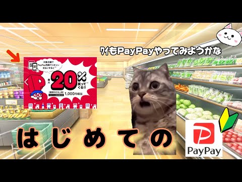 PayPay🔰初心者のときの話【猫ミーム】cat meme【猫マニ】