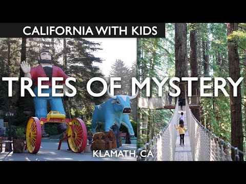 Visiting Trees Of Mystery Review