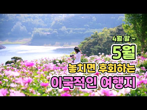 Korea's Beautiful May Travel Destination