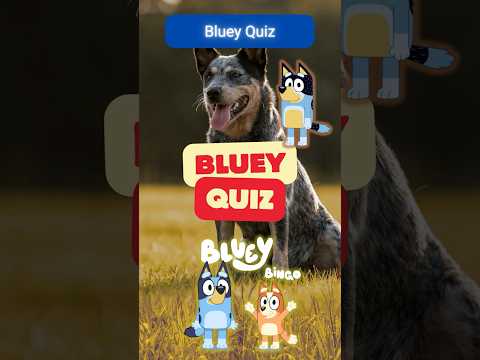 Bluey Trivia Challenge 🐾 | How Well Do You Know Bluey? #bluey #quiz #trivia