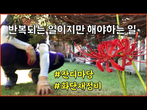 시골 정원, 마당일은 주기적으로 반복됩니다 / 정원리빌딩 / 잔디마당 정리 / countryside, gardening, grass yard