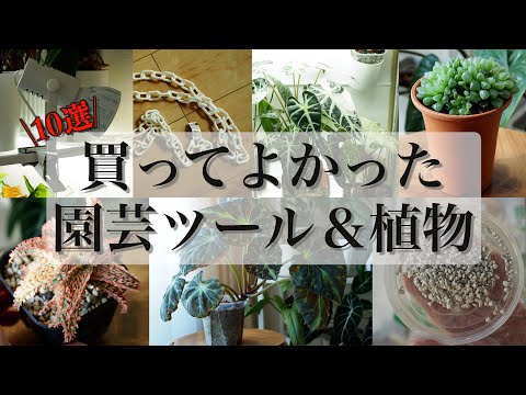 2024年買って良かった園芸ツール＆植物｜今年のまとめ