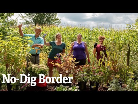 How to Build a No-Dig Border Garden