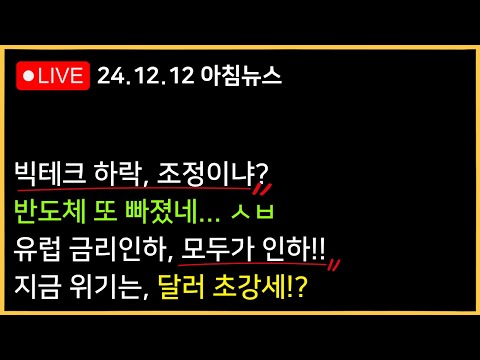 유럽 25bp, 스위스 50bp 금리인하 랠리 시작!!ㅣ달러 초강세, 시장 발목 잡는다?ㅣ반도체 하락, 한국은 오늘도...??