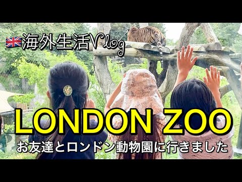 【海外生活】ロンドン動物園に行きました！夏休みのんびりVlog