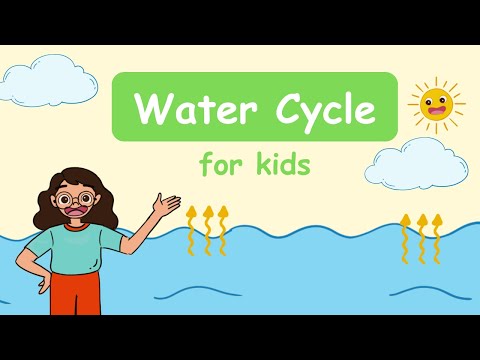 Water cycle for Kids Super Easy to Learnc #kidschannel #science #viralvideo #watercycle