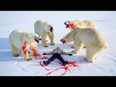 The Most BRUTAL Polar Bear Attacks In History!