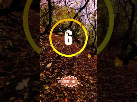 11 Second of Autumn Forest Ambiance  #autumntime #11second