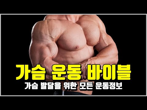 가슴 운동 정보 총모음집