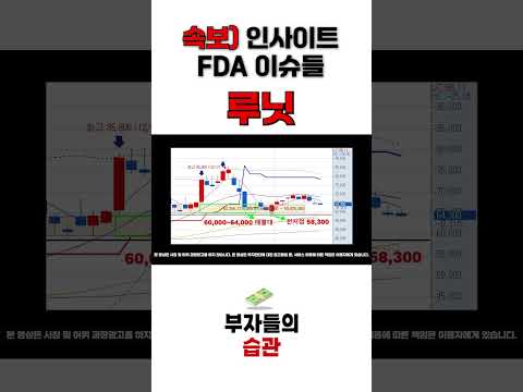 [루닛 분석]  FDA 상황 정리