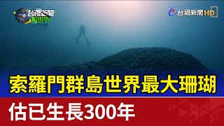 索羅門群島世界最大珊瑚 估已生長300年