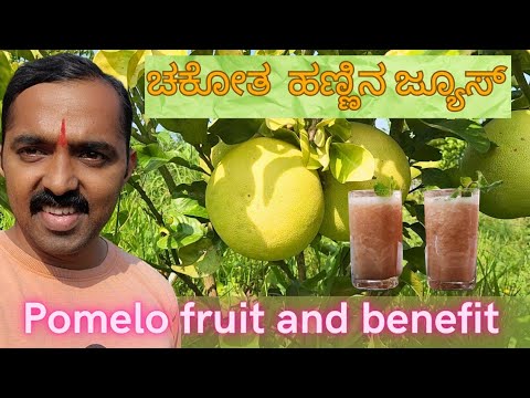 chakotha fruit | Masala Jambura | Pomelo Fruit | Grapefruits | chakotra fruit benefits in kannada