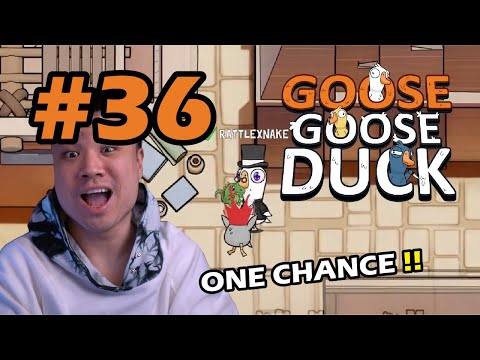 HANYA BUTUH SATU KORBAN SAJA !! - Goose Goose Duck [Indonesia] #36