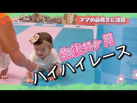 ママが必死すぎたハイハイレース#生後11ヶ月