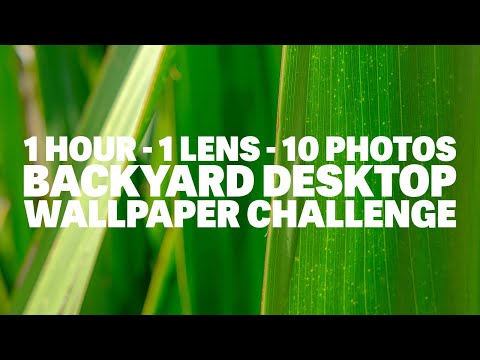 One Hour! One Lens! 10 Photos! It's the Backyard Desktop Wallpaper Photo Challenge