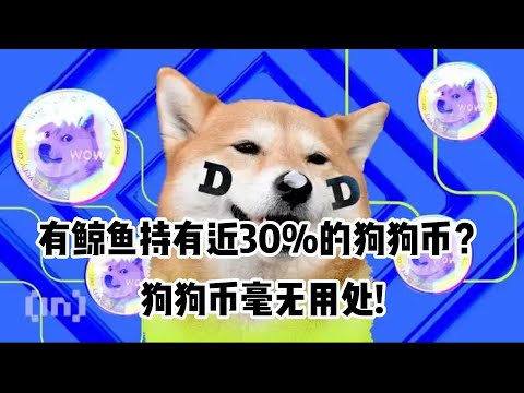 有鲸鱼持有近30%的狗狗币？狗狗币毫无用处 Are There Whales Holding Nearly 30% of Dogecoin? Dogecoin is useless