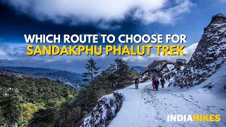 Sandakphu Trek Route: Why Do Sandakphu-Phalut Trek From Sepi | Indiahikes