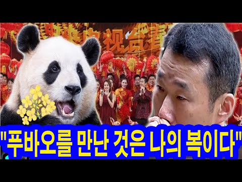 기쁜 소식: 푸바오와 강바오가 중국 최대의 새해맞이 갈라쇼에 함께 출연합니다!! 눈물겨운 재회는 10억명의 국민 나라를 감동시켰다... 강바오 "푸바오를 만난 것은 나의 복이다"