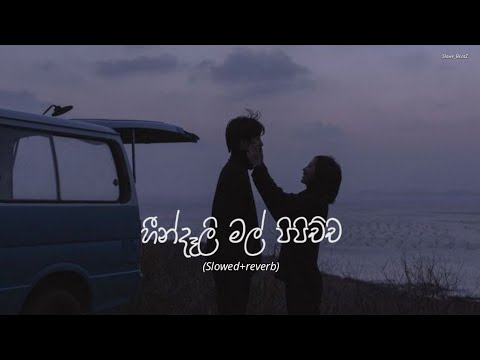 හීන්දෑලි මල් පිපිච්ච | Hindali mal pipichcha (Slowed+reverb)