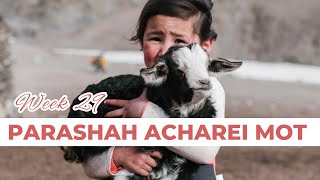 ACHAREI MOT | Week 29