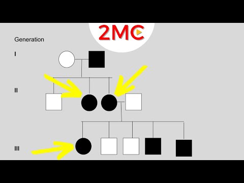 Inheritance Patterns | Reading Pedigree Charts