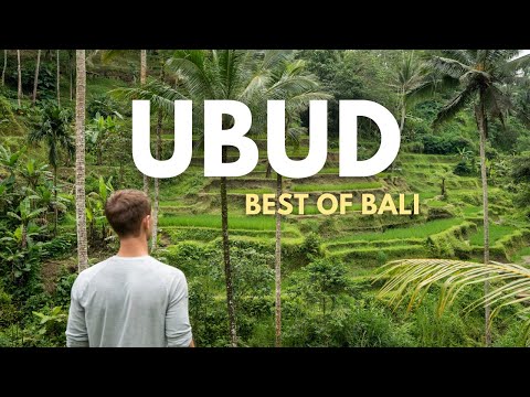 The PERFECT day in UBUD BALI |  Waterfalls, Monkeys and Rice Terraces!