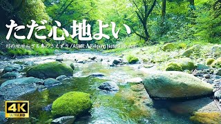 ただ心地よい水の音 新緑の森に響く鳥のさえずり:自律神経を整える、リラクゼーションにご活用ください【自然音,ASMR,4K,relaxing  nature sounds】