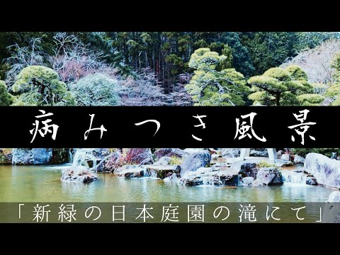 Ambient Sound Scape in Beautiful Japanese Garden