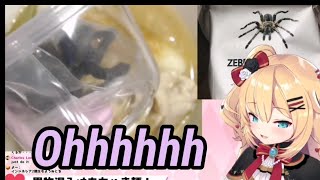 The strongest Vtuber Eating a Tarantula