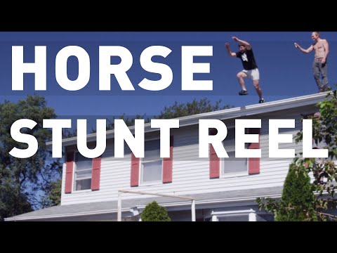 Horse Stunt Reel -2020!