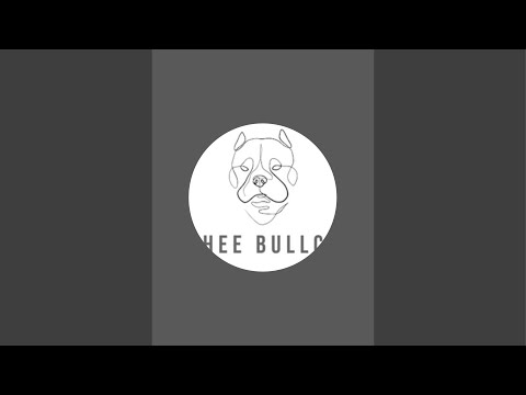 Theebullco is live!