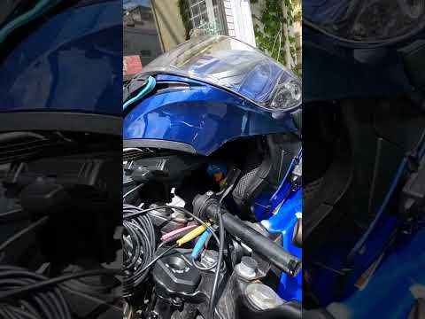 バイクにアヒルねえ。　#shortsvideo #shortvideo #gsx250r #バイク　#アヒル