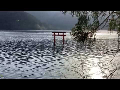 箱根九頭龍の森 湖上の鳥居 2024.04