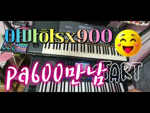 왕초보올겐#야마하 psrsx900#pa600만남