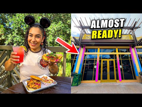 ✨ NEW Disneyland UPDATES! | Hungry Bear Barbecue Jamboree Foods, Bayou Country, Merch + MORE!