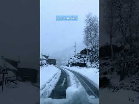 Breathtaking SNOWFALL in Leh, Ladakh #snowfall #ladakh #shorts