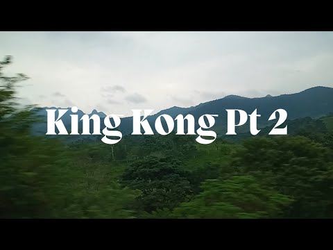 Tato Schab - King Kong Pt. 2