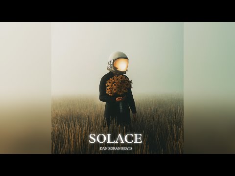 David Guetta x Alesso Type Beat - Solace Ft. Bebe Rexha | EDM Type Beat