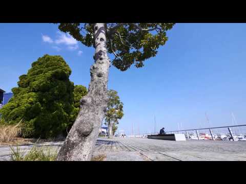 Camalapse 4 & DIY Motorized Camera Slider Motion Time Lapse Test Bayside Marina February 15th, 2015