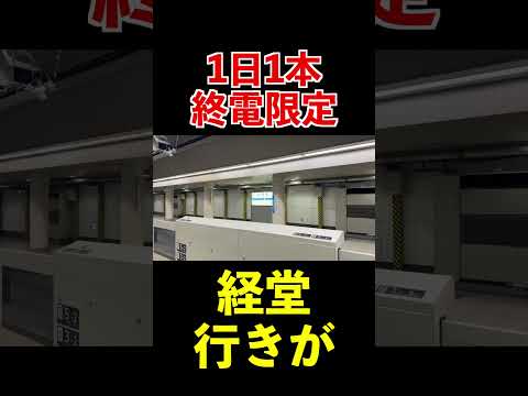 1日1回しか聞けない新宿駅の激レア接近放送