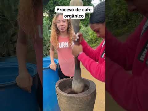 Increíble majando café orgánico ☕️ #humor #naturaleza #café