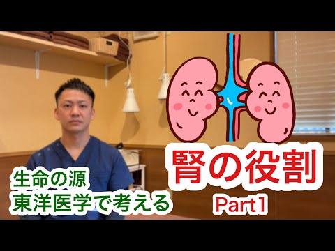 『東洋医学』腎の働きについて〜Part1〜