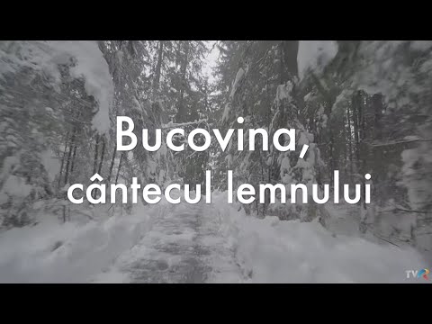 Exclusiv în România: Bucovina, cântecul lemnului (@TVR1)