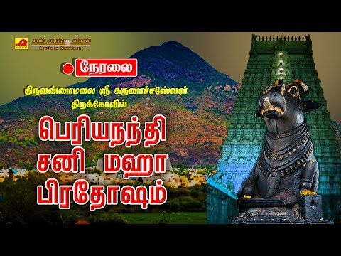 🔴  LIVE திருவண்ணாமலை  பெரிய நந்தி சனி மஹா பிரதோஷம்   அபிஷேகம் மற்றும் ஆராதனை #liveproadhasham #live