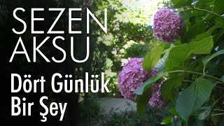 Sezen Aksu - Dört Günlük Bir Şey (Lyrics | Şarkı Sözleri)